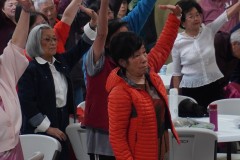 DSC02524
