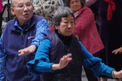 DSC02534
