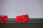 IMG_8818.jpg