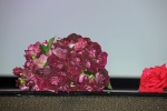 IMG_8819.jpg